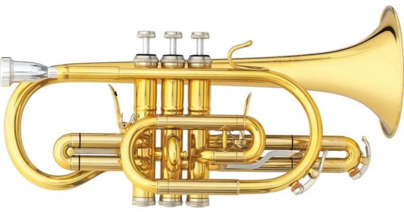 Cornet Sib Brochon