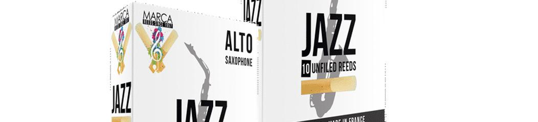 Anche sax Alto Jazz UnFiled boite de 5